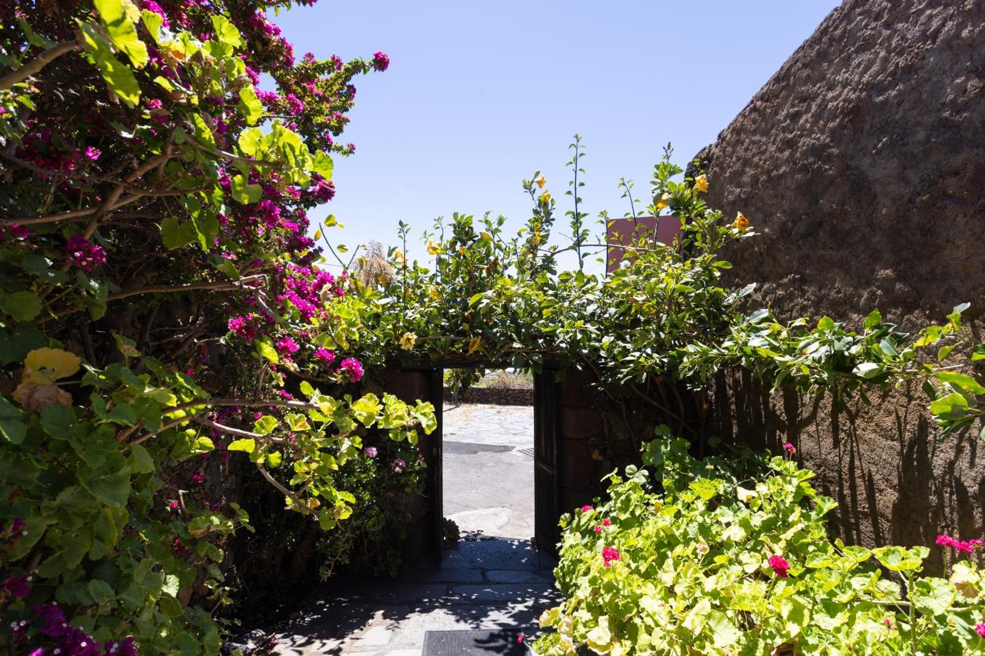 Charming Rustic House El Pinar & Wifi旅馆 外观 照片