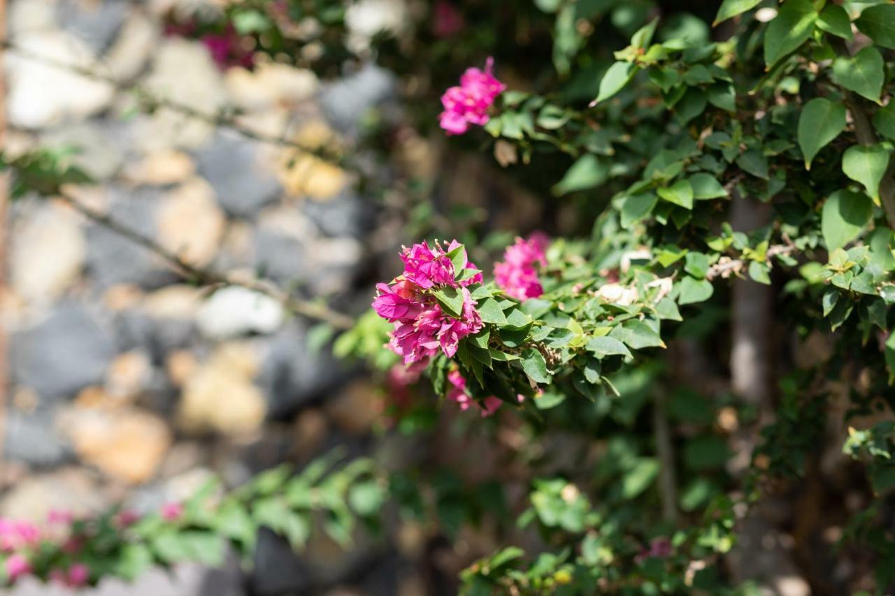 Charming Rustic House El Pinar & Wifi旅馆 外观 照片